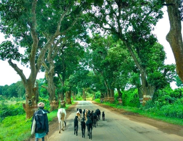 Motorcycle tour of Western Ghats